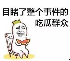 召集吃瓜群众吃瓜事件,一场吃瓜群众的狂欢盛宴