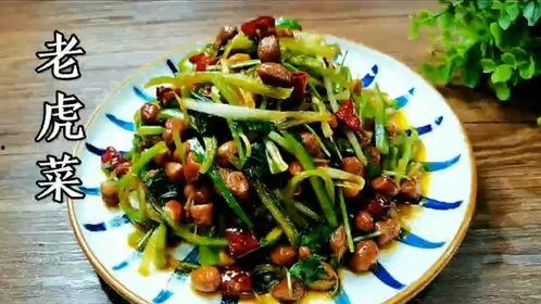 51吃瓜老虎菜今日,揭秘今日热门话题背后的真相