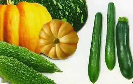 吃瓜茶艺,品味生活，笑谈世间百态