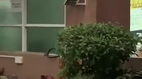 顺德吃瓜新闻事件,一场网络舆论的风暴与反思