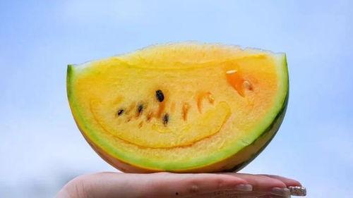 吃瓜小黄,揭秘娱乐圈那些不为人知的幕后故事