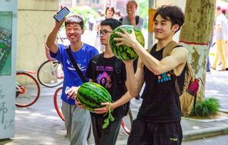 兰州某校吃瓜,揭秘校园里的“瓜田”风云