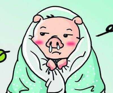 上蹿下跳的找瓜吃,上蹿下跳的寻瓜之旅