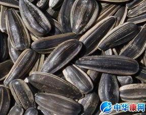 吃瓜仔会胖吗,吃瓜也能增肥？揭秘吃瓜仔体重变化的秘密