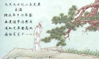 长安忆未解 吃瓜,揭秘吃瓜背后的文化现象