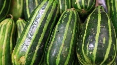 吃梢瓜能减脂么,天然美食的瘦身秘密揭晓”