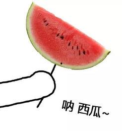 吃瓜吹风扇头像,吃瓜吹风扇，畅享清凉一夏