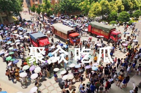 聚众吃瓜唯7,揭秘聚众吃瓜背后的“唯7”现象