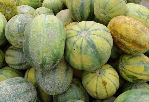 大老瓜怎么吃,解锁美味新体验