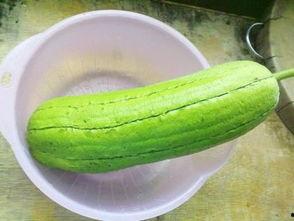 水瓜能晒干吃吗,晒干水瓜的食用方法与营养分析