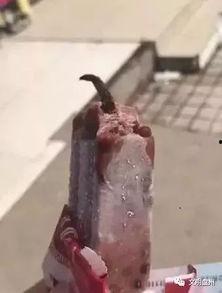 缅甸吃冰棍吃瓜视频,冰棍与瓜果的清凉盛宴