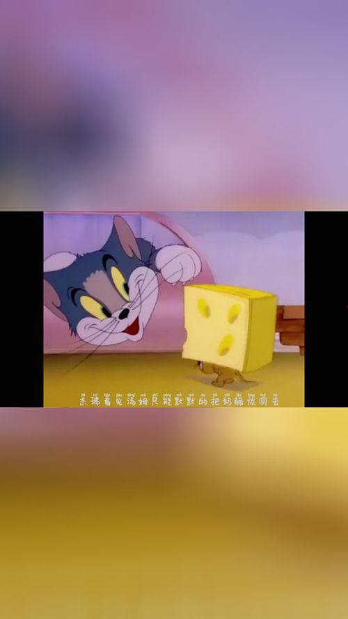 小杰瑞吃瓜,小杰瑞的瓜田奇遇记