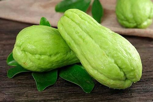 吃茄瓜还可以吃砂仁吗,同食相宜的健康搭配指南