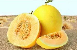 吃瓜网166.su,带你走进网络八卦的神秘世界