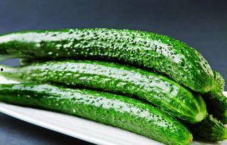 江阴港下吃瓜,夏日吃瓜趣事多