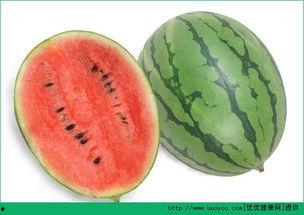 吃瓜过敏吐,揭秘过敏反应背后的真相