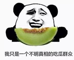 吃瓜也有错,揭秘网络舆论背后的真相与误区