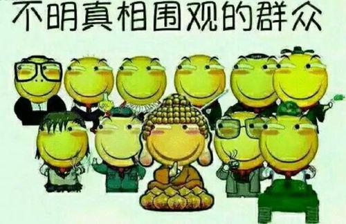 吃瓜群众瓜哥游戏,揭秘吃瓜群众的娱乐盛宴