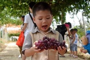 吃校园瓜的群,揭秘吃瓜群里的那些事儿