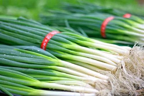 梁山吃大瓜,共享夏日大瓜盛宴