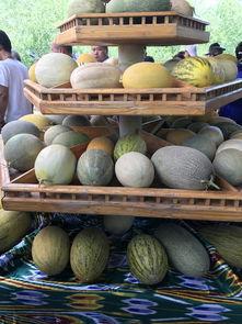 来新疆吃瓜,一场味蕾与视觉的盛宴之旅