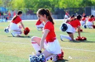 校园51吃瓜 校园,揭秘校园热点事件背后的真相