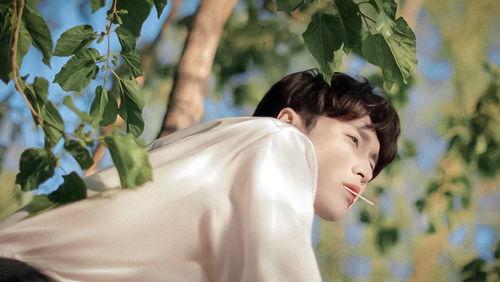 张艺兴吃瓜完整,娱乐圈吃瓜背后的真相与反思