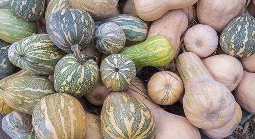 挽挽子在线吃瓜,挽挽子在线吃瓜，揭秘娱乐圈幕后故事