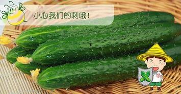 九六吃瓜,揭秘娱乐圈那些不为人知的幕后故事