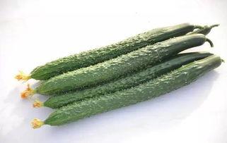 infh绿头吃瓜,揭秘infh绿头吃瓜背后的故事