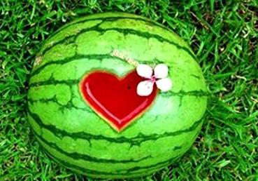 梦到和老板吃瓜,职场关系新解读  第3张