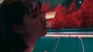 吃瓜少女杂货铺,吃瓜少女杂货铺带你畅游八卦世界