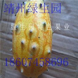 吃蜜瓜怎么减肥最快  第2张