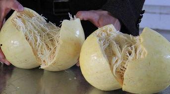 面瓜 怎么吃,探索面瓜的多样美味 第2张 面瓜 怎么吃,探索面瓜的多样美味 第2张